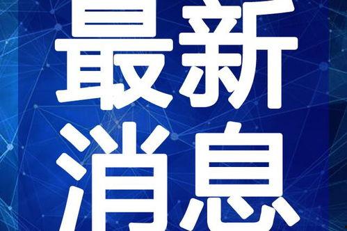追梦王者爆料视频大全最新,揭秘最新爆料视频大全精彩瞬间  第3张